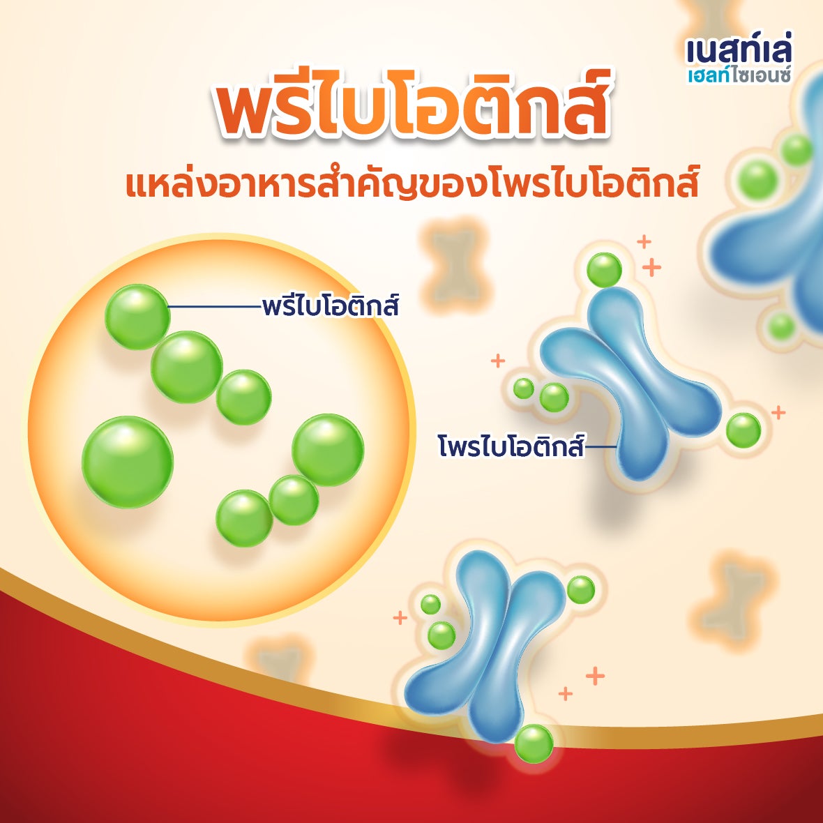 Boost Fiber, สูตร 5 ใยอาหาร, อาหารทางการแพทย์ Nestle Boost, ไฟเบอร์