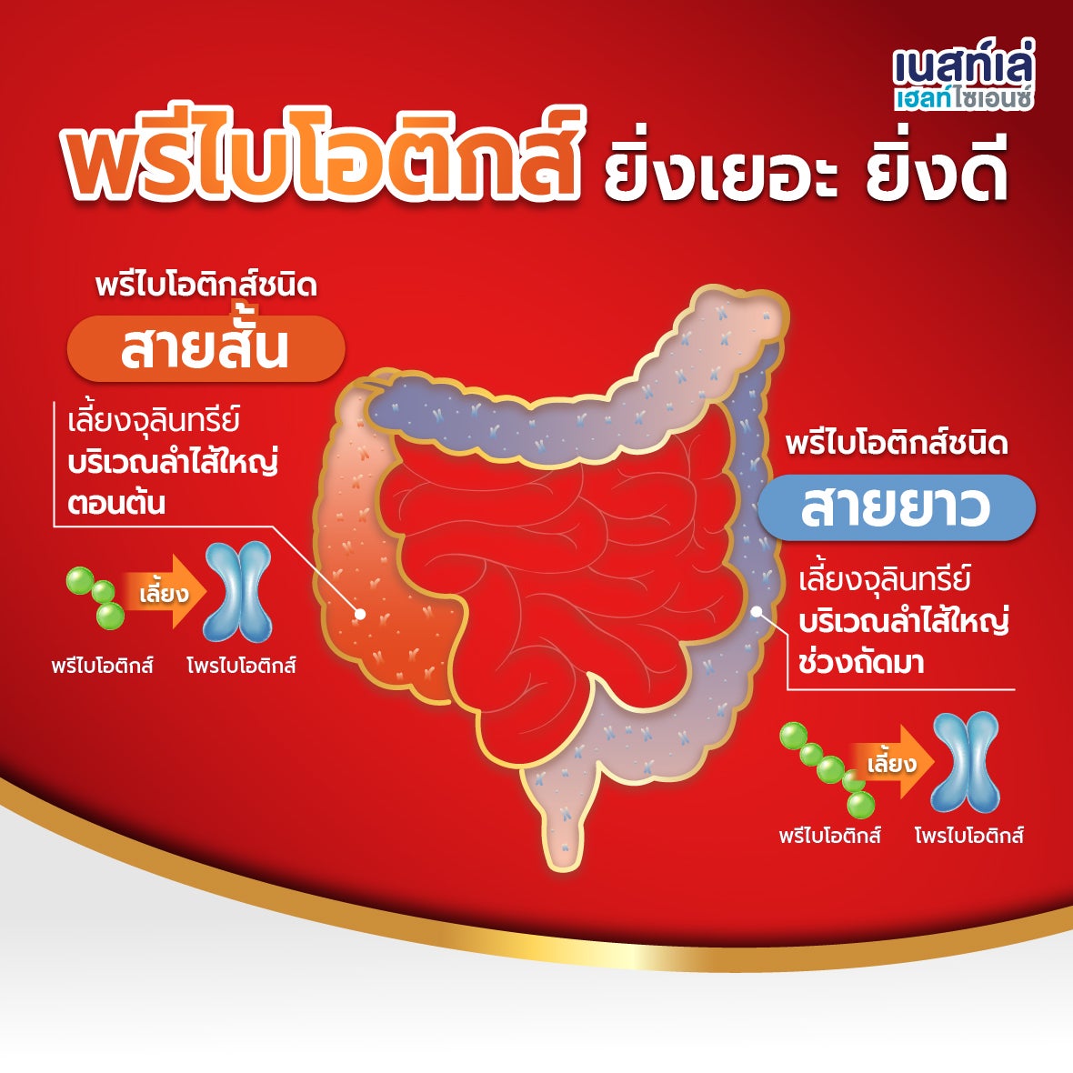 Boost Fiber, สูตร 5 ใยอาหาร, อาหารทางการแพทย์ Nestle Boost, ไฟเบอร์