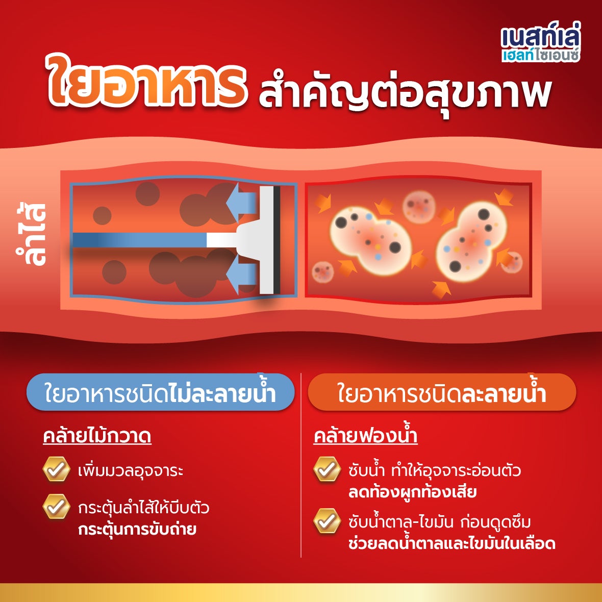 Boost Fiber, สูตร 5 ใยอาหาร, อาหารทางการแพทย์ Nestle Boost, ไฟเบอร์