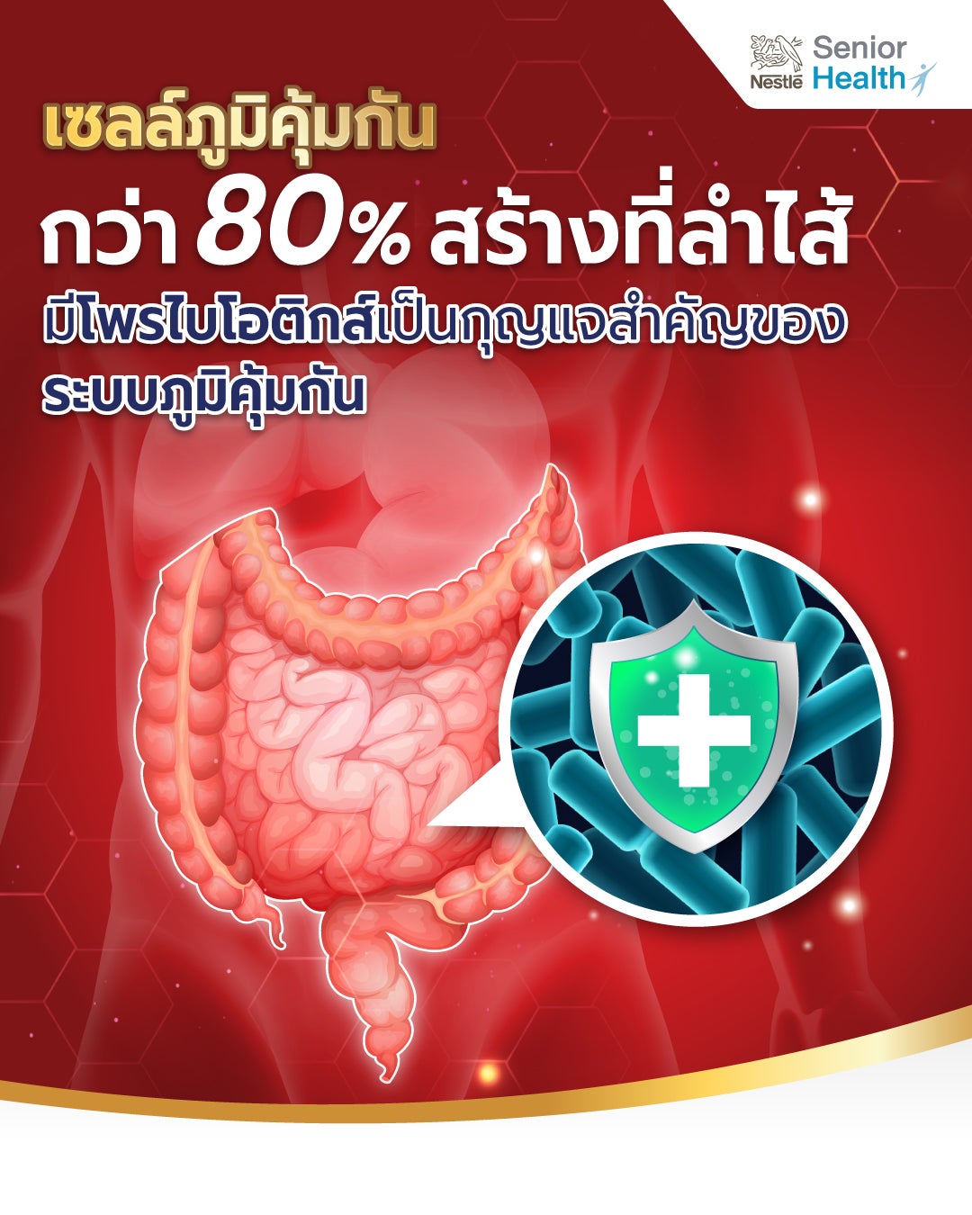 Nestle Boost, อาหารทางการแพทย์, Boost Optimum, Boost Fiber, Boost Glucose Control