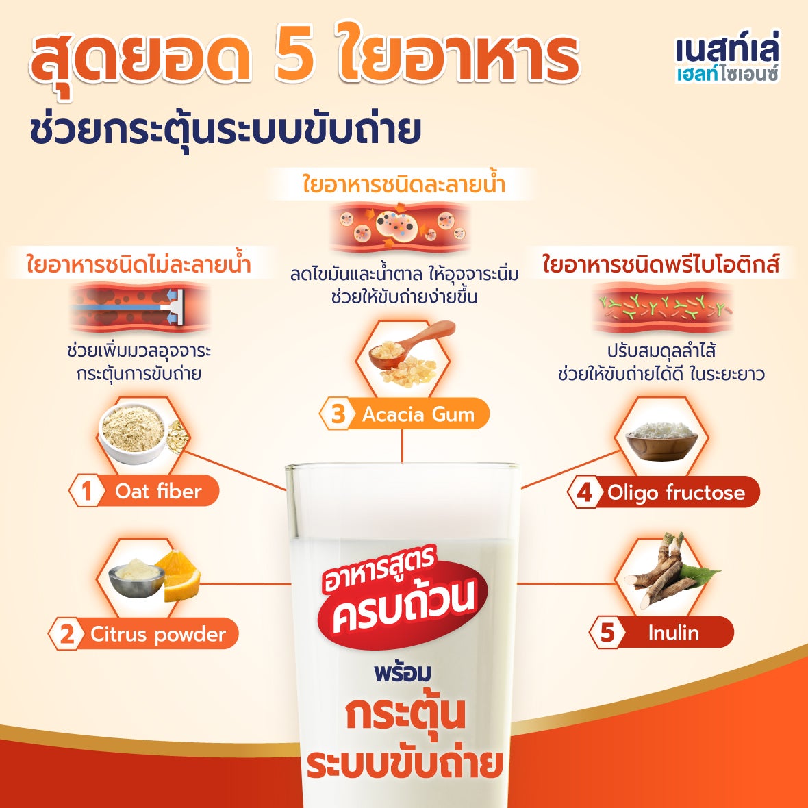 Boost Fiber, สูตร 5 ใยอาหาร, อาหารทางการแพทย์ Nestle Boost, ไฟเบอร์, อาหารเสริมคนแก่