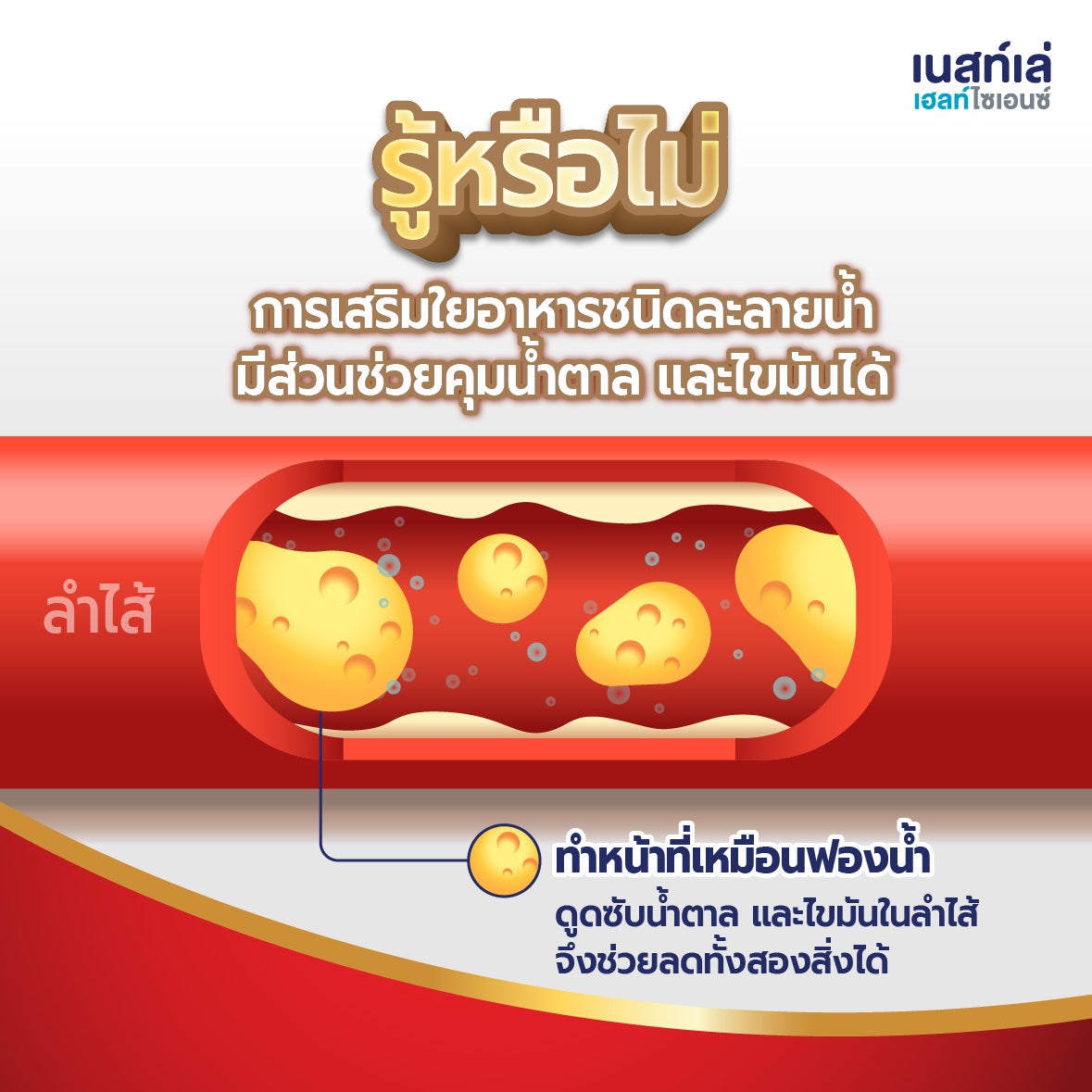 รู้หรือไม่ ใยอาหารมีส่วนช่วยคุมน้ำตาล