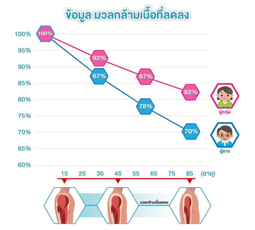 ออกกำลังกาย กล้ามเนื้อ